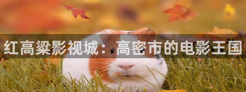 九七秋霞电影