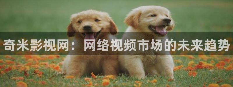 秋霞韩剧电影网