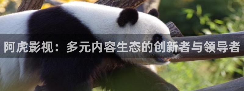 秋霞电影网免费在线观看
